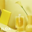 画像17: ILOA Hair Color Supplement イロア カラーシャンプー 185ml (17)